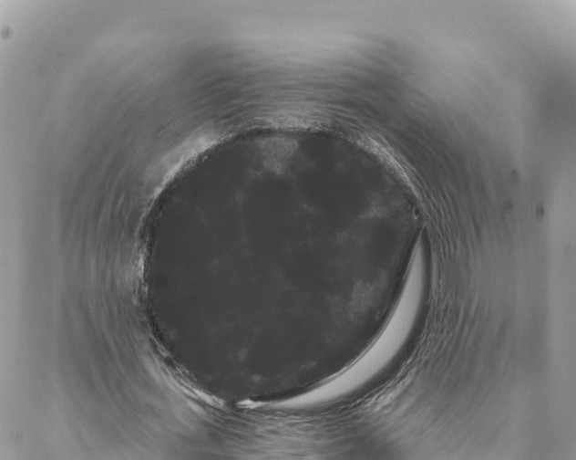 X0000088590723200706011137