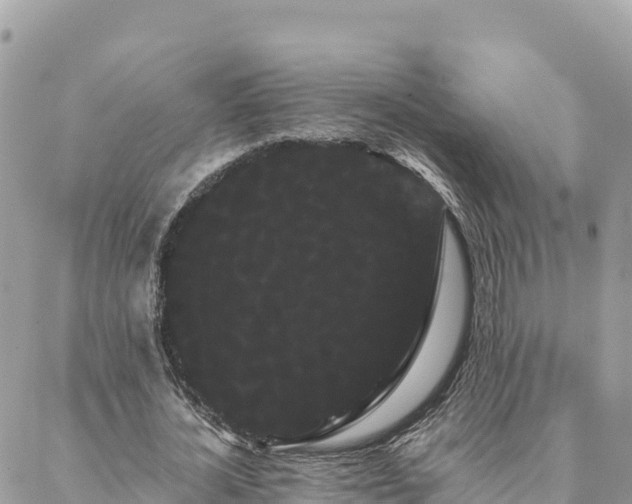 X0000088590724200706011137