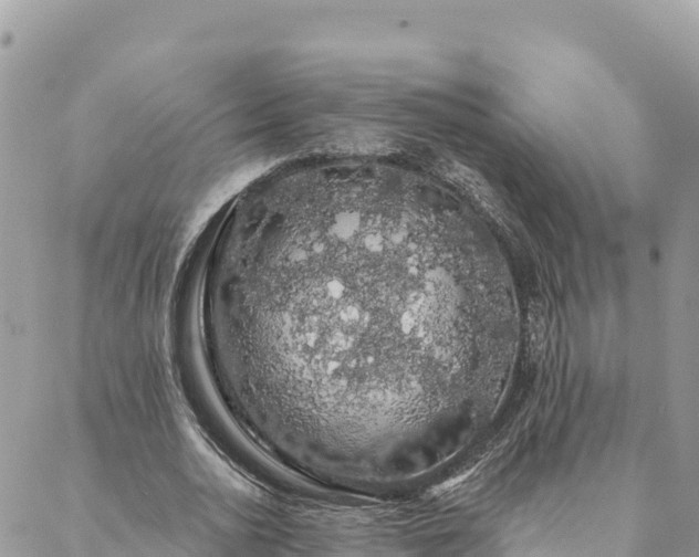 X0000088590726200706011137