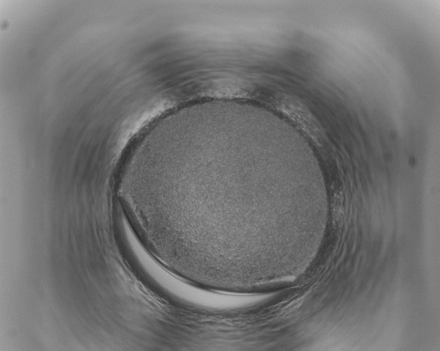 X0000088590727200706011137