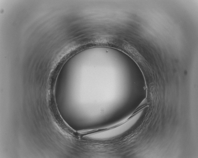 X0000088590728200706011137