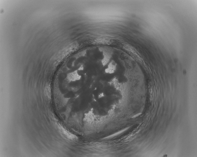 X0000088590729200706011137