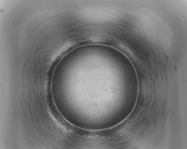 X0000088590730200706011137