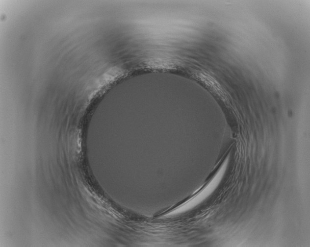 X0000088590731200706011137