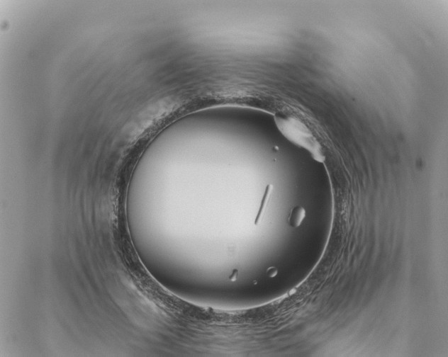 X0000088590732200706011137