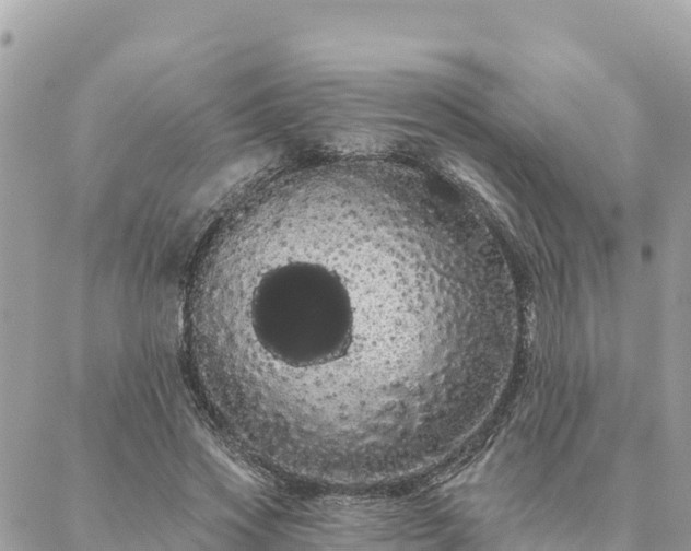 X0000088590733200706011137