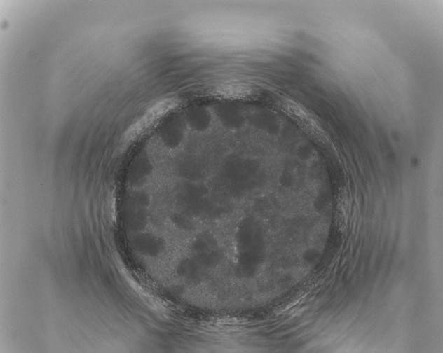 X0000088590734200706011137