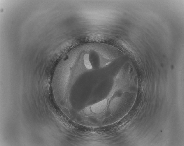 X0000088590737200706011137