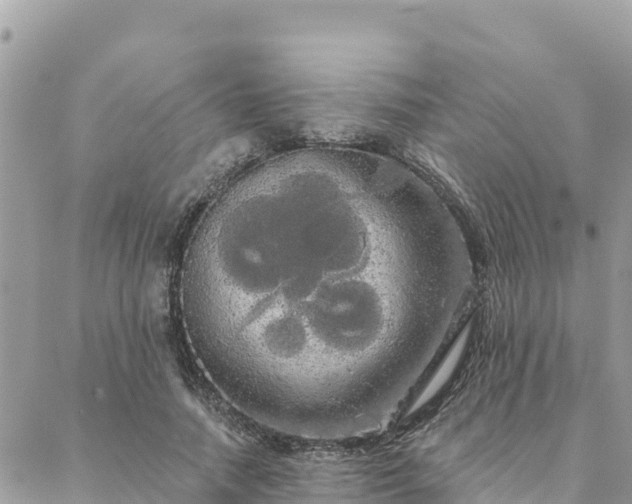 X0000088590738200706011137