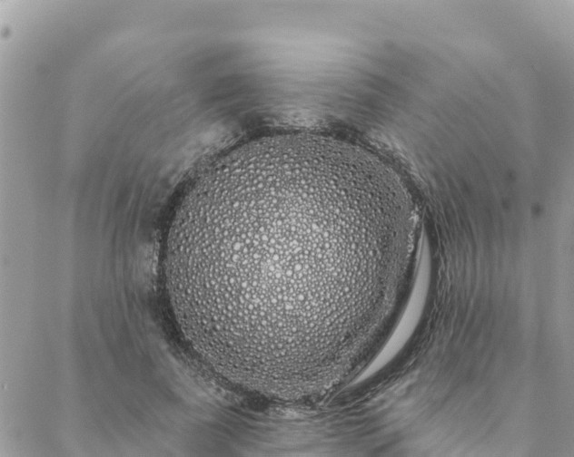 X0000088590739200706011137