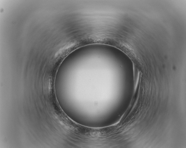 X0000088590740200706011137