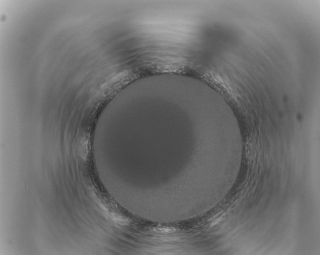 X0000088590741200706011137