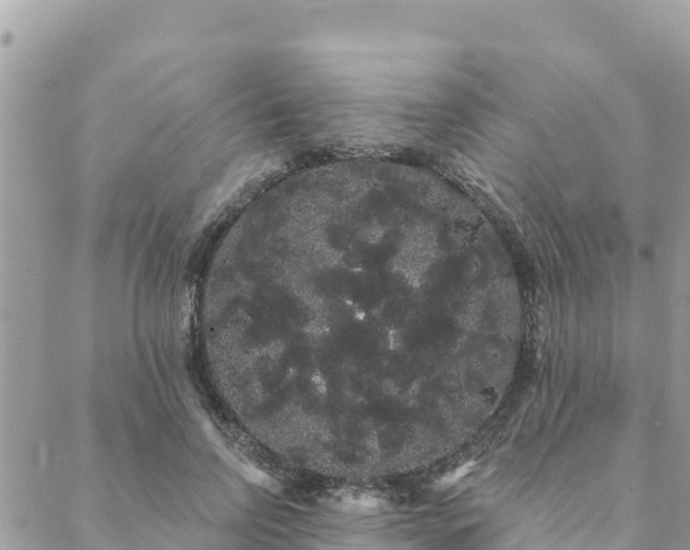 X0000088590742200706011137