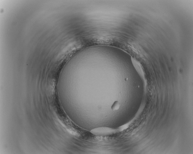 X0000088590744200706011137