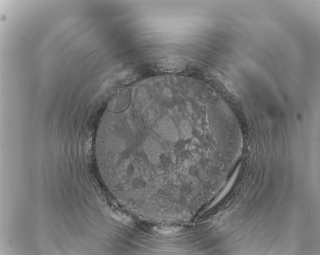 X0000088590745200706011137