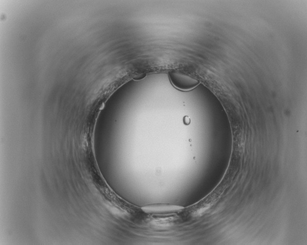 X0000088590746200706011137