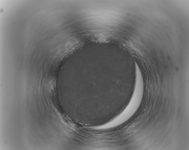 X0000088590747200706011137