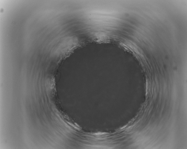 X0000088590748200706011137