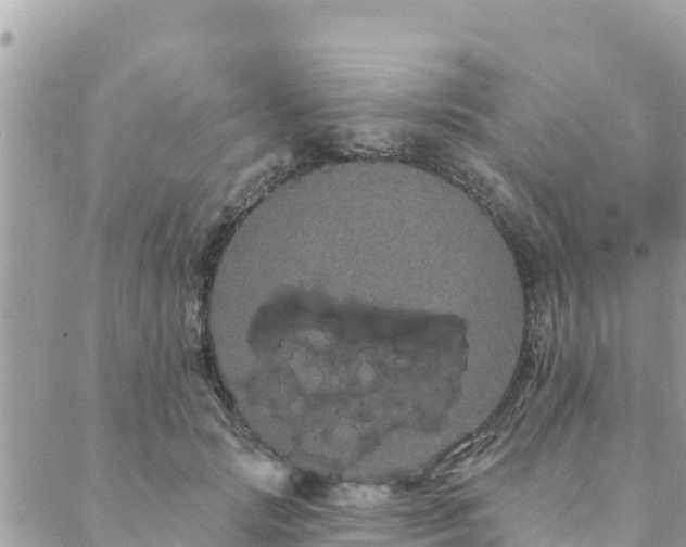 X0000088590749200706011137