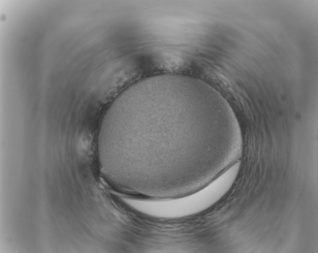 X0000088590750200706011137