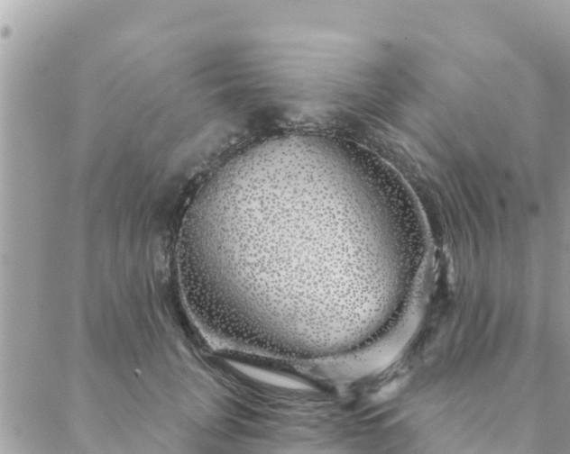 X0000088590751200706011137