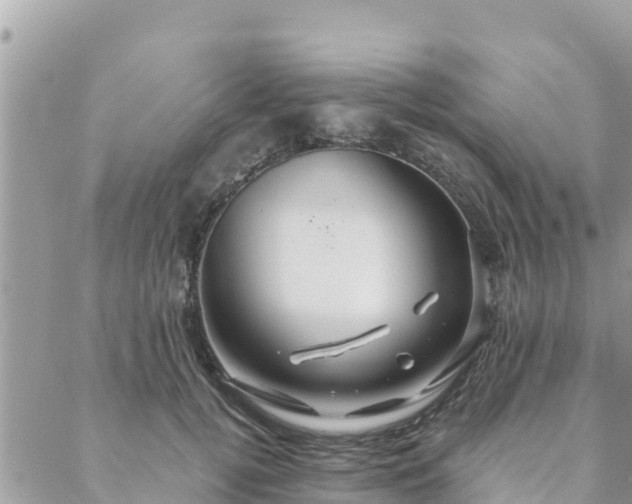 X0000088590752200706011137