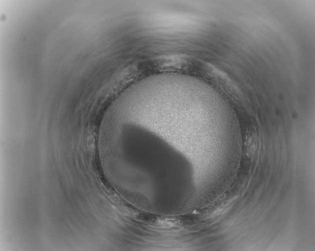 X0000088590753200706011137