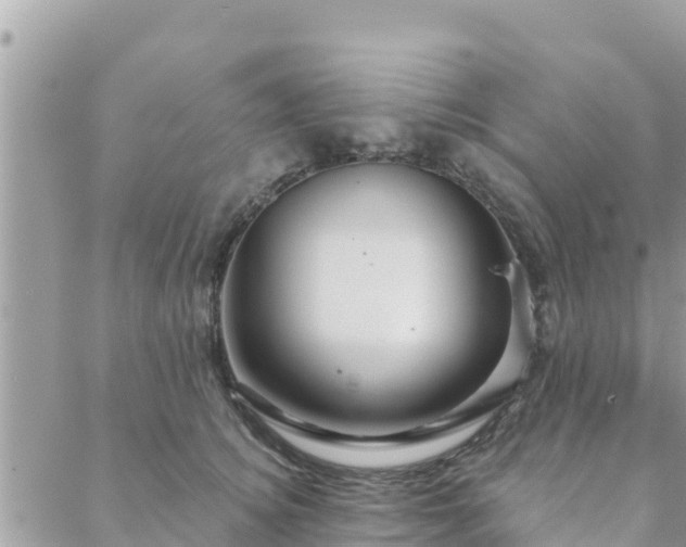 X0000088590756200706011137