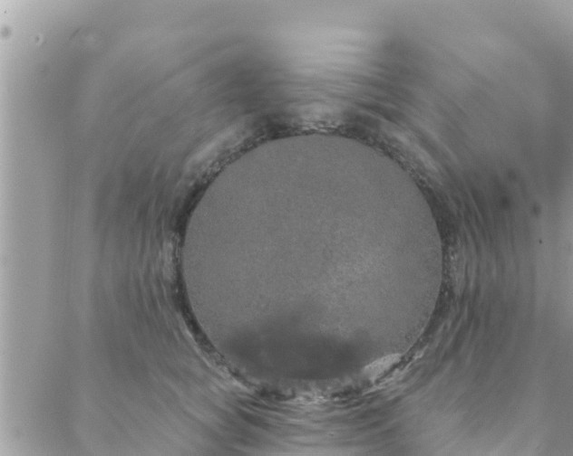 X0000088590757200706011137