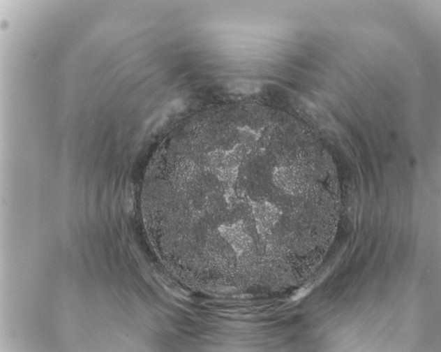 X0000088590758200706011137