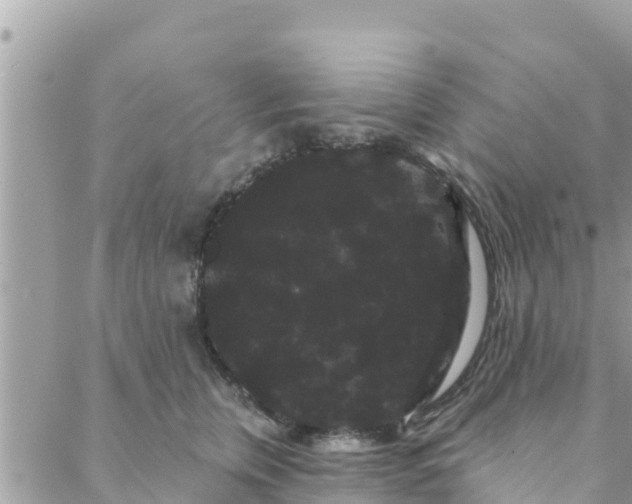 X0000088590759200706011137