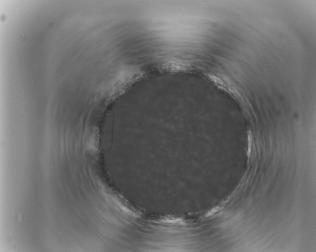 X0000088590760200706011137