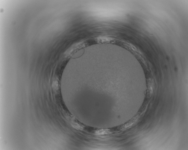 X0000088590761200706011137