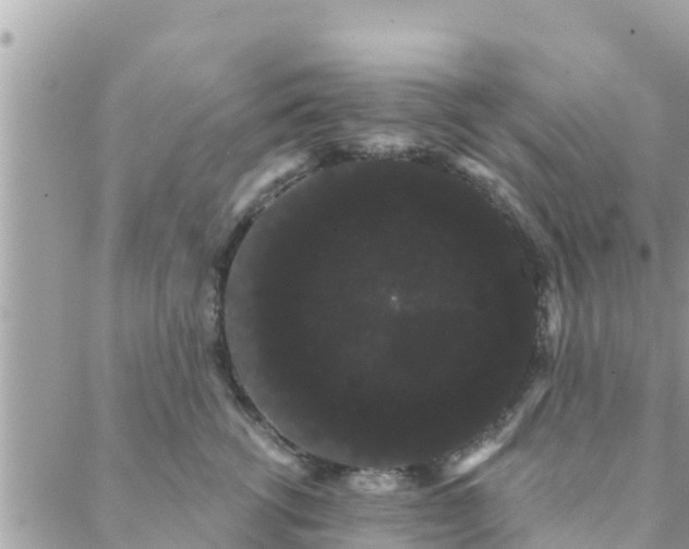 X0000088590762200706011137