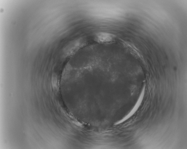 X0000088590763200706011137