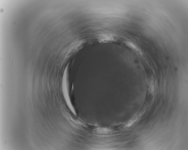 X0000088590766200706011137