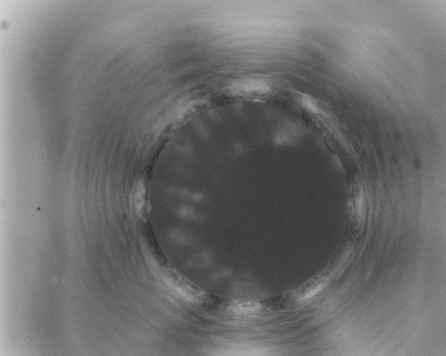 X0000088590767200706011137