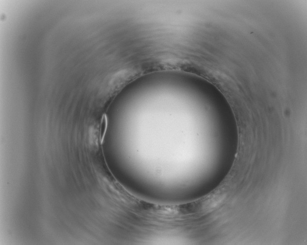 X0000088590768200706011137