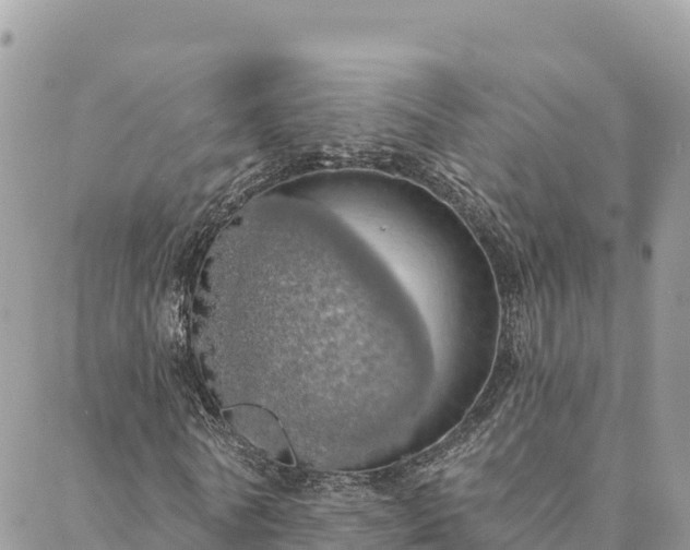 X0000088590770200706011137