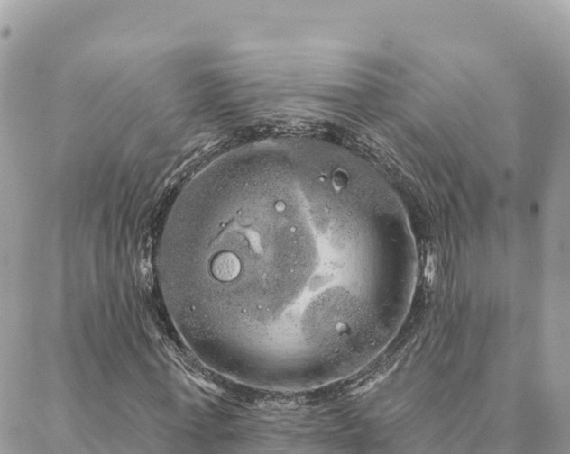 X0000088590771200706011137