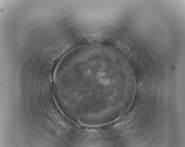 X0000088590772200706011137