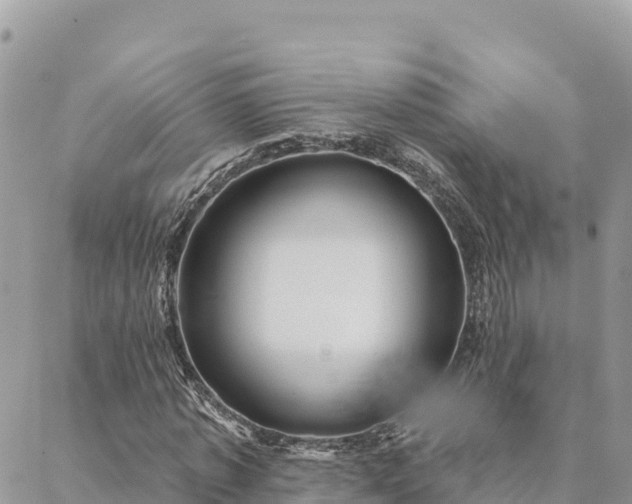 X0000088590773200706011137