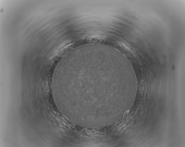 X0000088590774200706011137