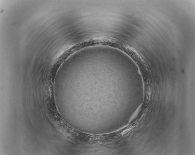 X0000088590776200706011137