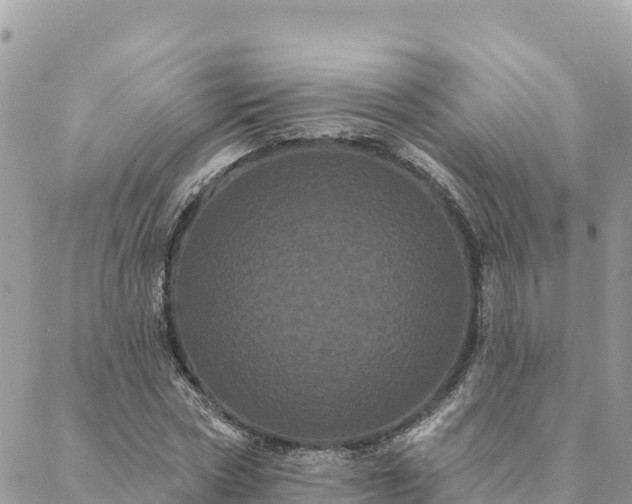 X0000088590778200706011137