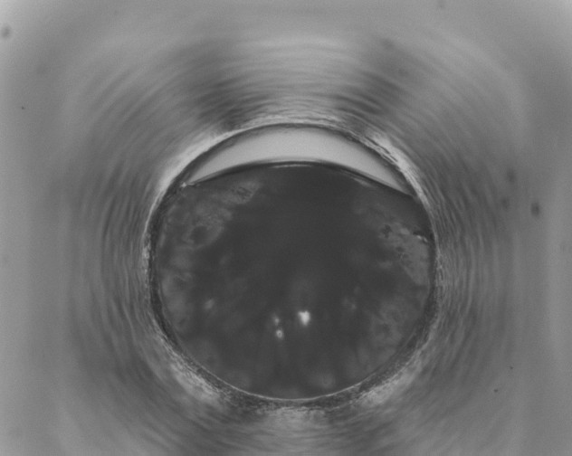 X0000088590779200706011137