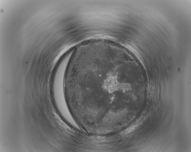 X0000088590783200706011136