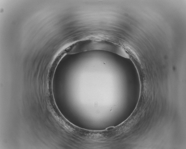 X0000088590784200706011136