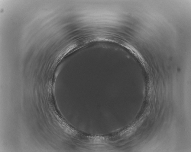 X0000088590785200706011136