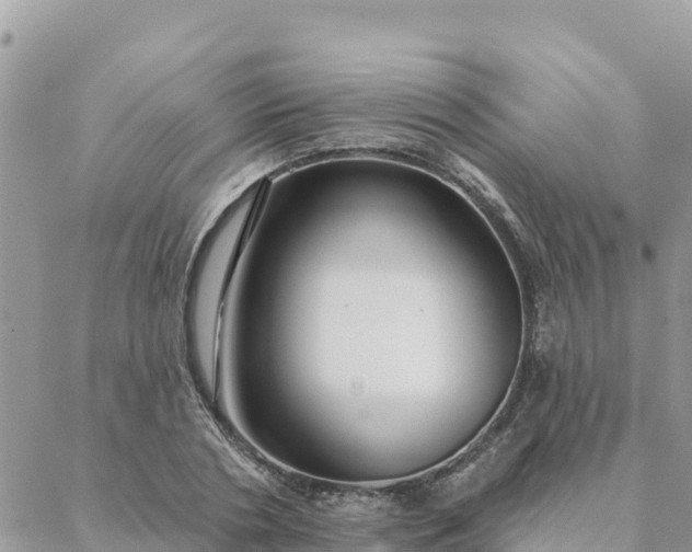 X0000088590786200706011136